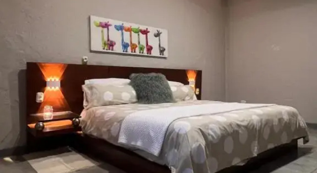 Номер Standard Coffee Tree Boutique Hostel