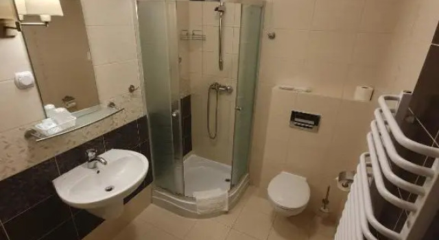 Номер Standard Hotel Pod Dębami