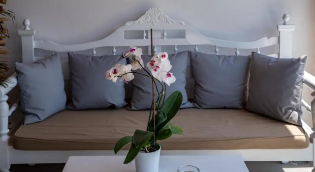 Номер Standard CASA DI PIETRA MYKONOS