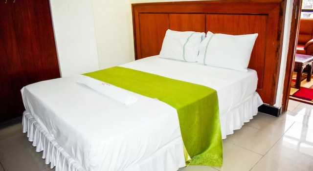 Апартаменты c 1 комнатой с балконом Sheratton Regency Hotel