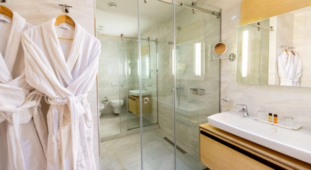 Двухместный полулюкс Best Western Premier Ark Hotel