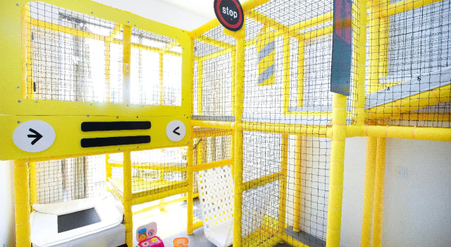 Gapyeong Rapunzel Kids Poolvilla