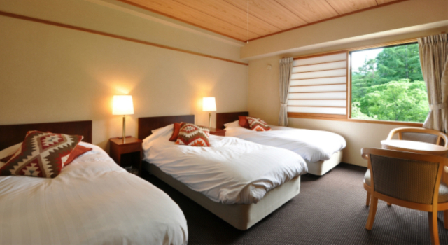 Трёхместный номер Standard Hakuba Yamano Hotel