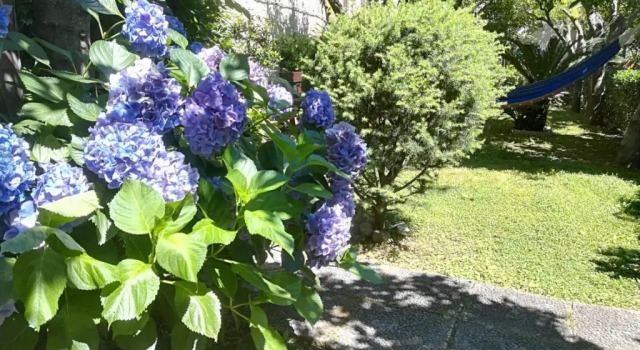 Коттедж Il Giardino degli Agrumi