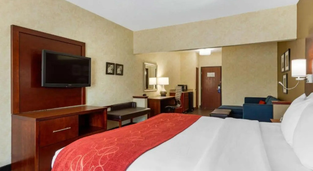 Одноместный люкс Holiday Inn Express & Suites Southfield - Detroit
