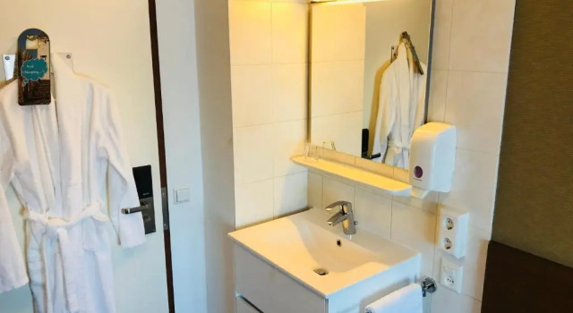 Одноместный номер Standard с балконом и с красивым видом из окна Hotel De Koningshof