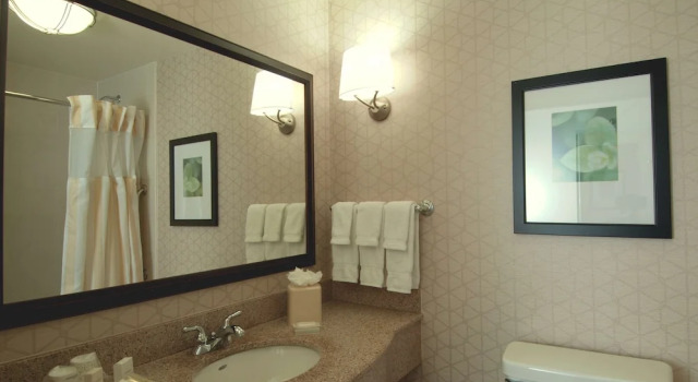Номер Deluxe Hilton Garden Inn Rockford