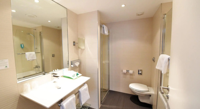 Двухместный номер Business Holiday Inn Mulhouse by IHG