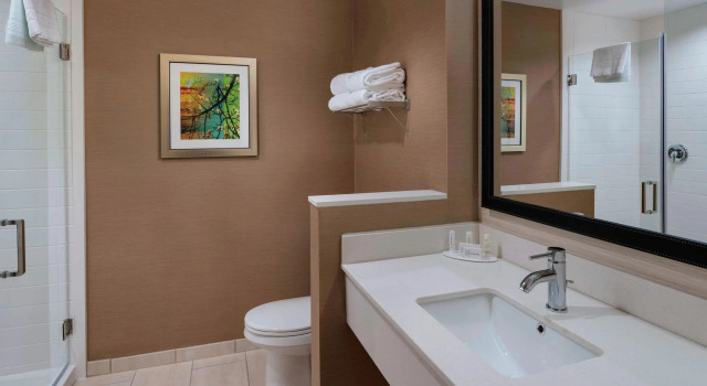 Двухместный номер Standard Fairfield Inn & Suites by Marriott Atlanta Peachtree City