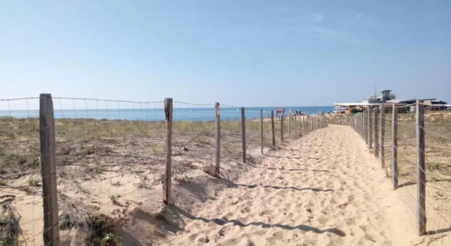 Апартаменты Appartement CAPBRETON face à l'océan sans vis à vis, avec piscine