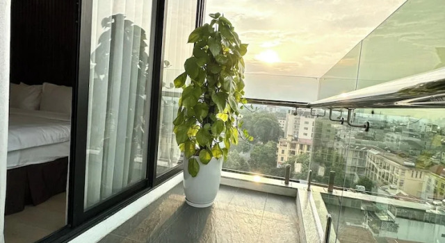 Номер Standard Ficus Suites
