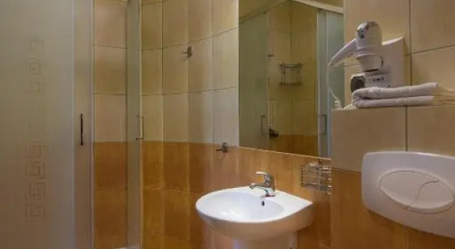 Двухместный номер Standard Hotel Roś