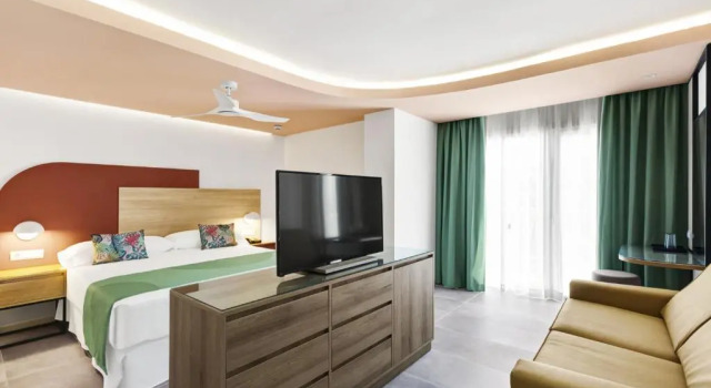 Двухместный номер Hotel Riu Concordia