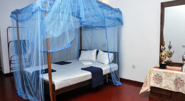 Номер Deluxe Tamasha Mango House
