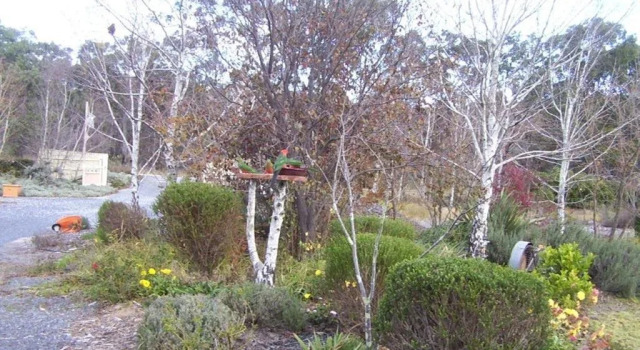 Windswept Country Retreat, Reserva ahora Hotel Hoteles en Queensland con desayuno, Desayunos