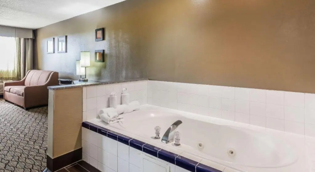 Номер Standard Comfort Inn & Suites Crystal Inn Sportsplex