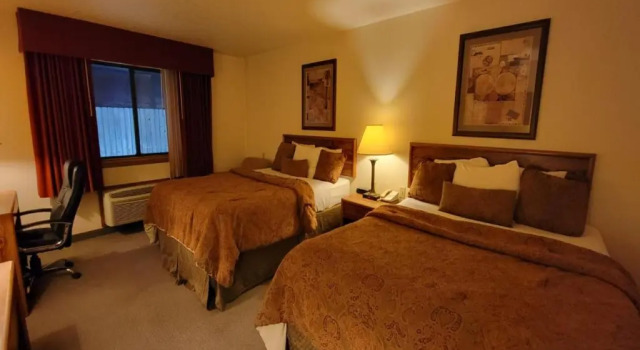 Standard Doppel Zimmer Single Tree Inn