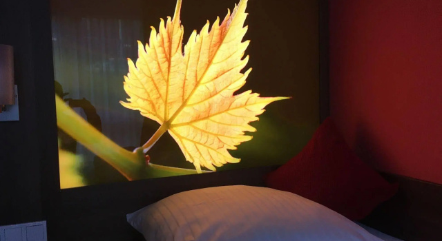 Alembra - Wein Style Hotel, Забронировать Отель Трир Trier-Saarburg