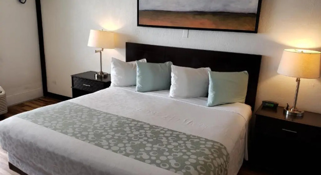 Flamingo Inn Beachfront