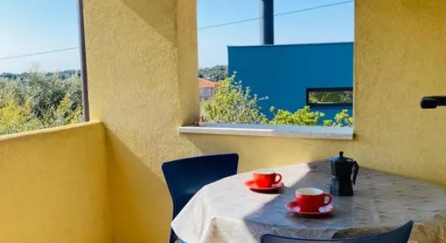 Апартаменты Trapan Apartments