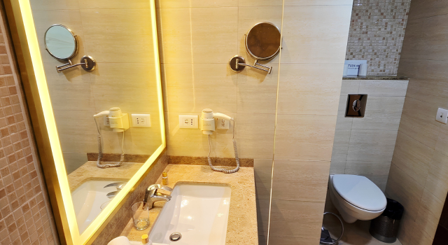 Номер Standard Shervani Nehru Place