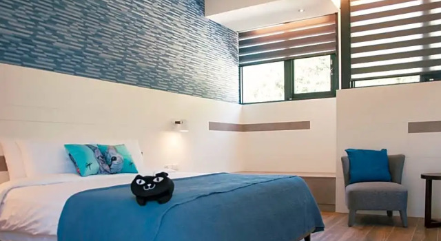 Номер Standard Doris Home