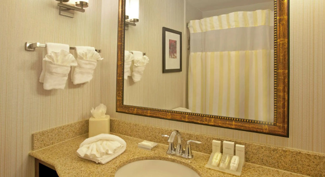 Четырёхместный номер Standard Hilton Garden Inn Minneapolis/Eden Prairie