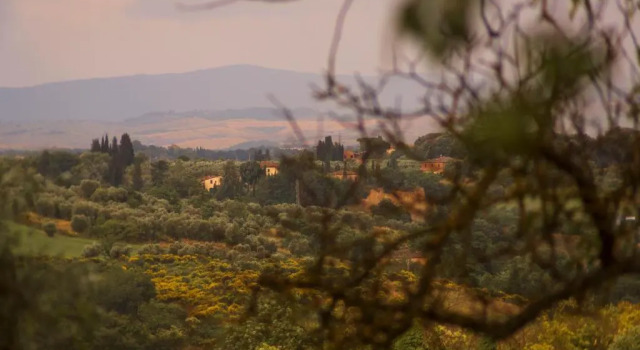 Апартаменты с видом на сад Borgo Villa Certano - Case Vacanza in Toscana