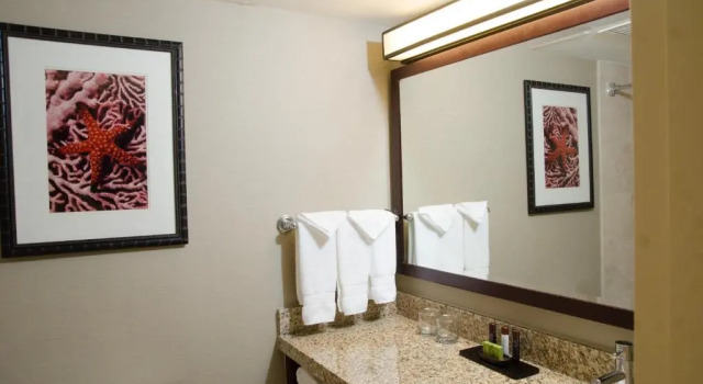 Номер Standard с балконом Embassy Suites by Hilton West Palm Beach Central