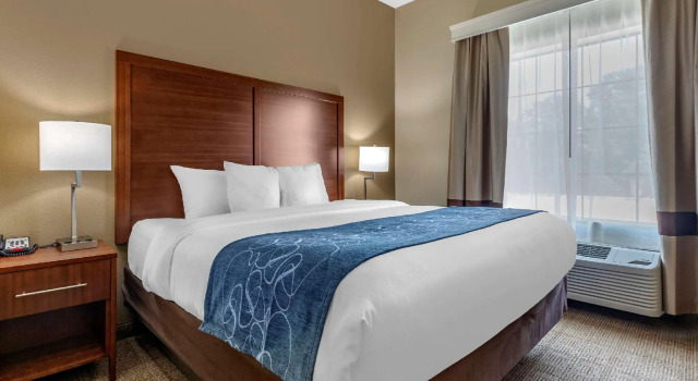 Люкс c 1 комнатой Comfort Inn & Suites Paris