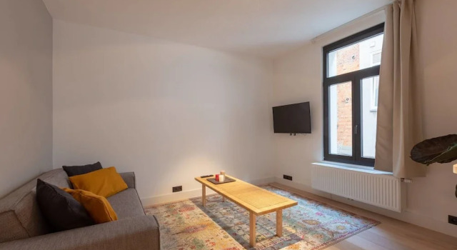 Theater Square Apartments 53, Забронировать Апартаменты/квартира Антверпен - центр города Антверпен, рядом с Royal Palace Antwerp