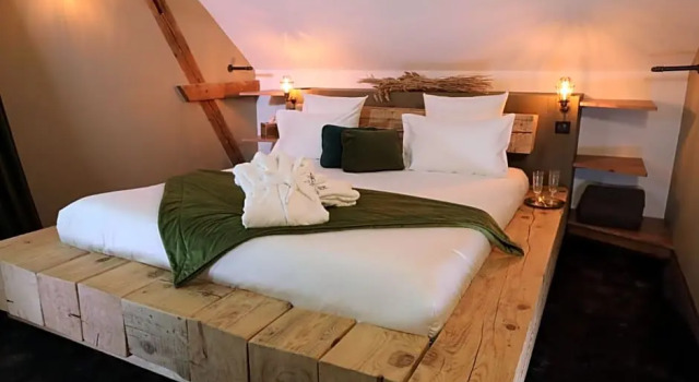 Люкс Hôtel-SPA Le Moulin De La Wantzenau - Strasbourg Nord