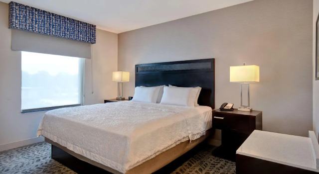 Двухместная студия Hampton Inn & Suites Columbia South Fort Meade Area