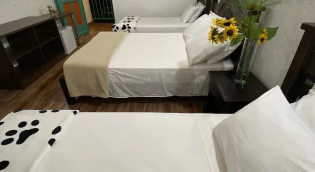 Четырёхместный номер Standard с балконом Hotel Campestre Paraiso Cafetero