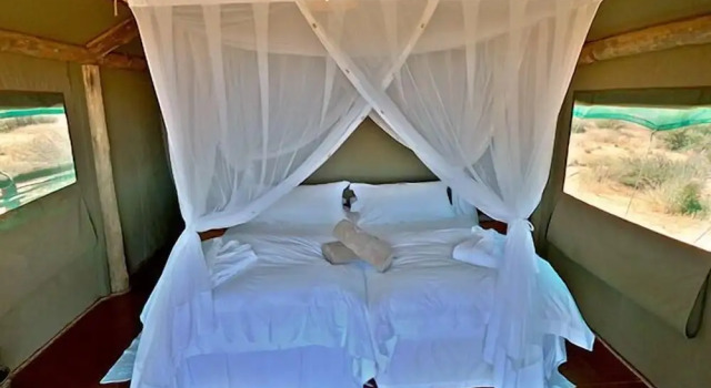 Zelt Suricate Tented Lodge