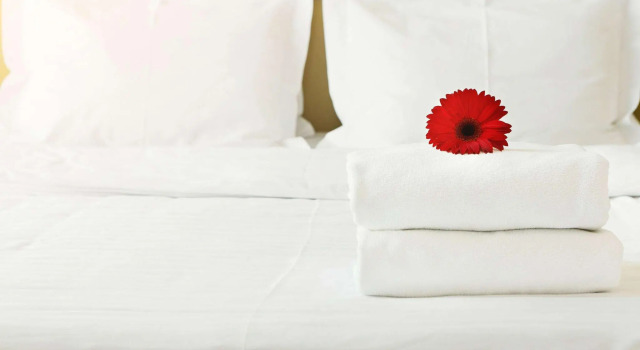 Четырёхместный номер Standard Inn of Loudon