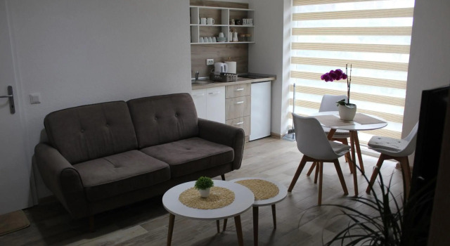 Mihail's Apartments in Ohrid 3