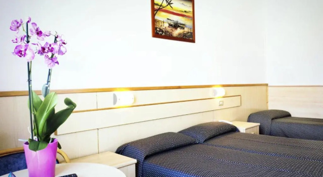 Номер Standard Aria Life Hotel