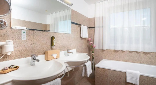 Двухместный номер Standard Hotel Seppl