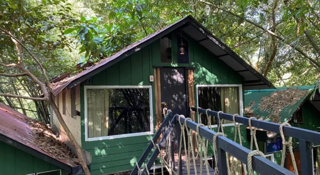 Номер Standard Khao Sok Tree House Resort
