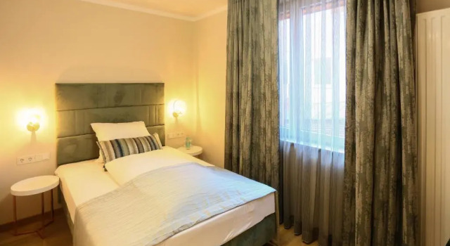 Одноместный номер Deluxe Hotel Lutz