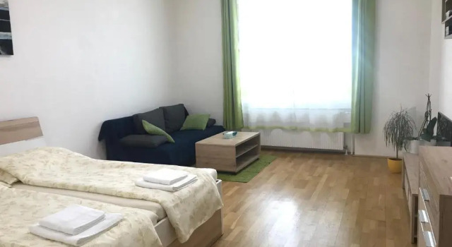 Студия Pasettistraße 31