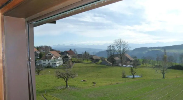 Двухместный номер Standard Alpenblick Ferenberg Bern