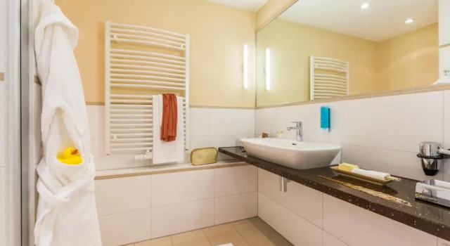 Одноместный номер Comfort Park-Hotel Hübner