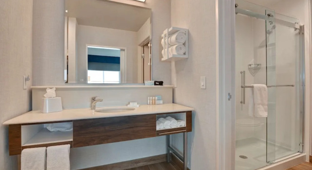 Двухместная Studio suite Comfort Hampton Inn & Suites Nashville Downtown Capitol View, Tn