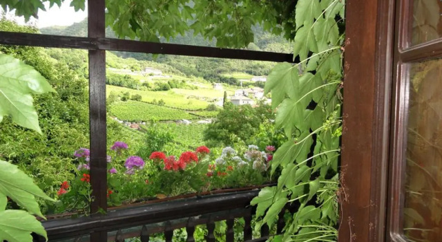 Двухместный номер Deluxe Locanda del Bel Sorriso - Villa Bertagnolli Guest House