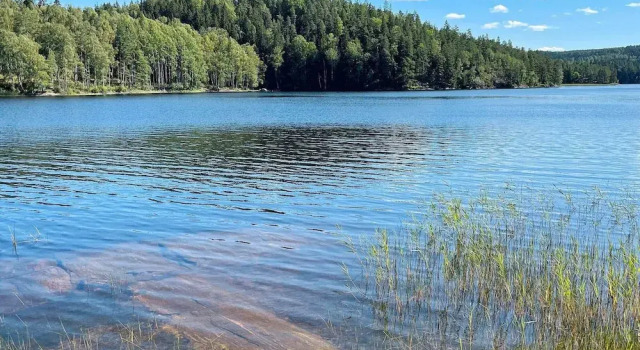Коттедж 4 Person Holiday Home in Bengtsfors