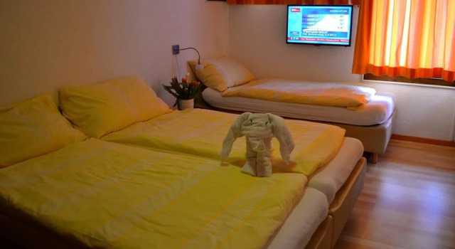 Hotel Jungfrau, Prenota Hotel Fiesch Goms