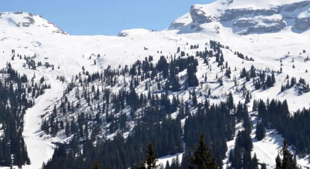 Studio Flaine, 1 pièce, 4 personnes - FR-1-425-180, Забронировать Апартаменты/квартира Апартаменты Овернь-Рона-Альпы, Апартаменты/квартира