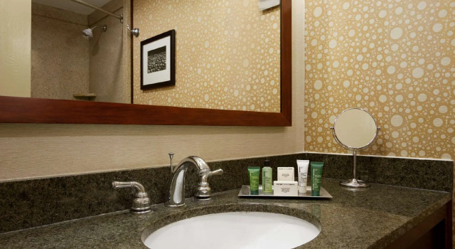 Четырёхместный номер Standard Hilton Knoxville